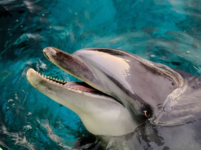 東京旅行がおすすめイメージ